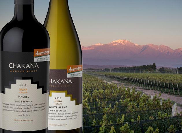 C mendoza vino argentina 23