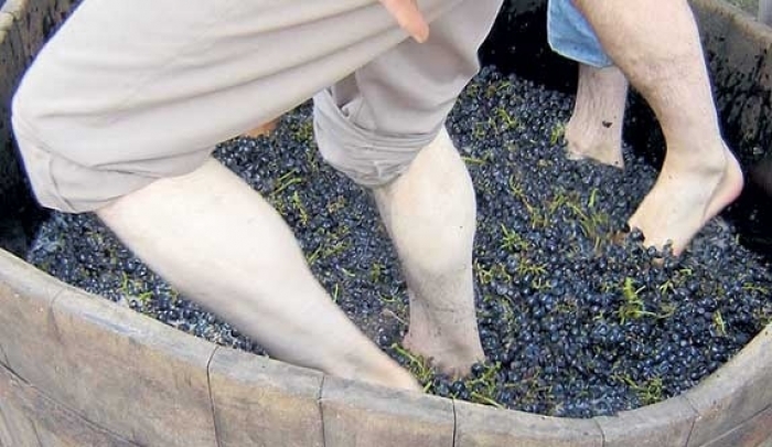 C mendoza vino argentina 38