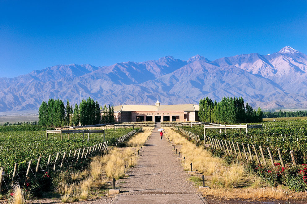 C mendoza vino argentina 6