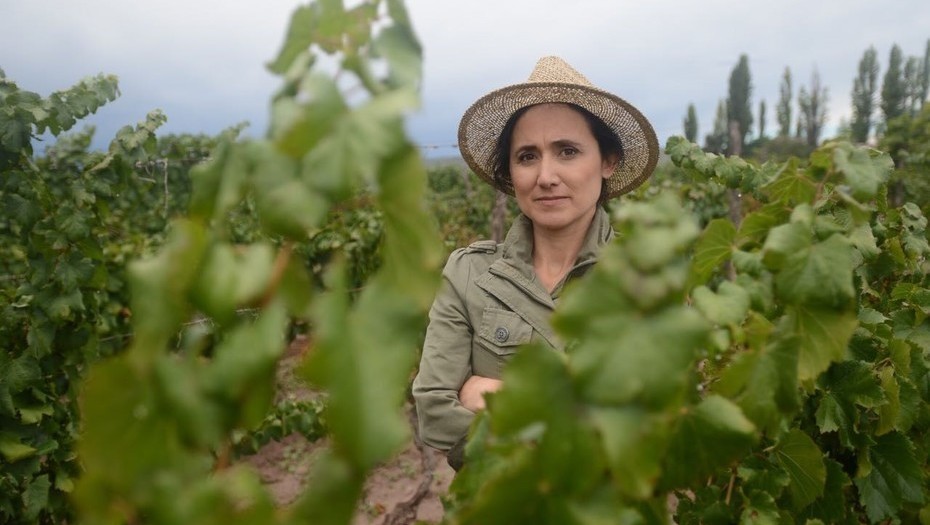 C mendoza vino argentina 48