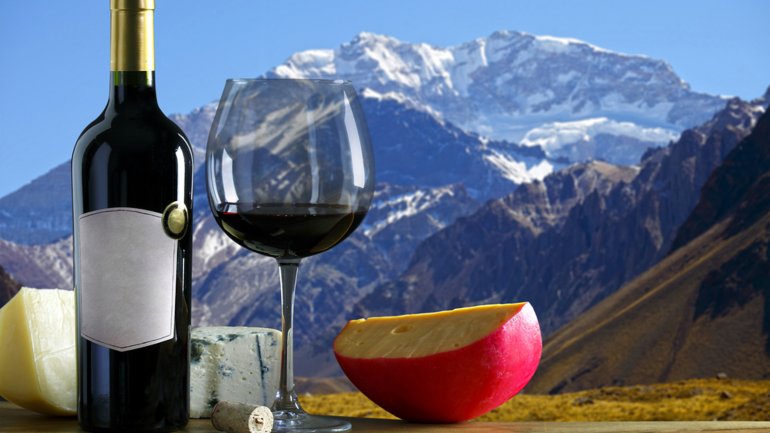 Vino Argentina: marcas, y todo lo que necesita saber